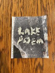 Allies' workshop: Lake Poem